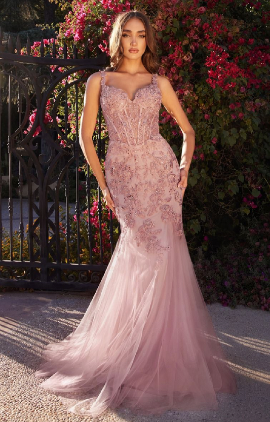 LACE & TULLE MERMAID GOWN