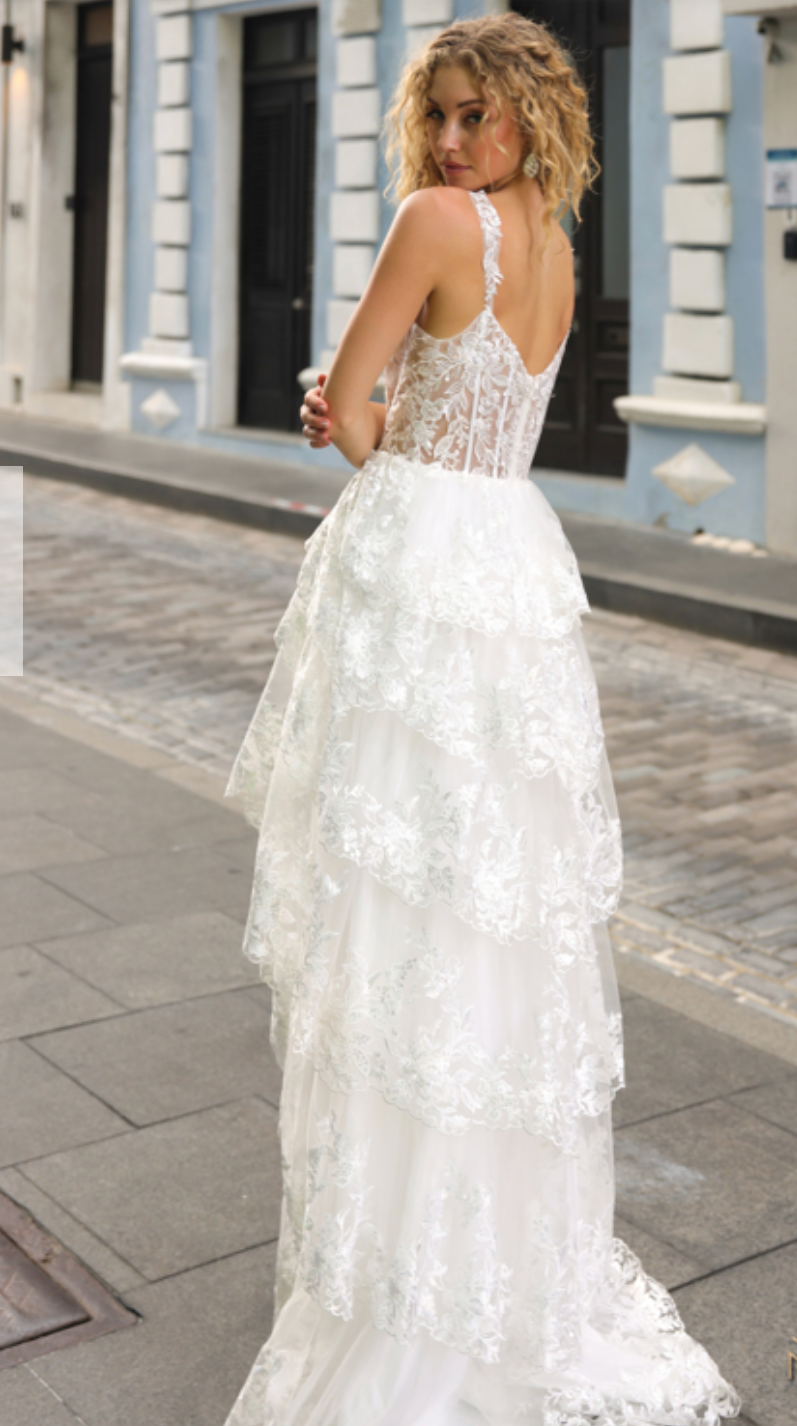 Corset top & Ruffle Gown