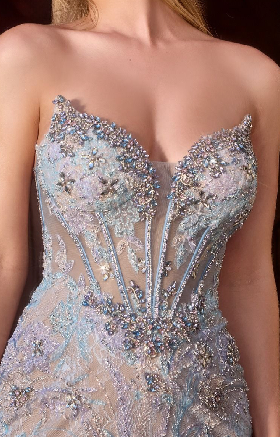 Lace Contoured Gown with Intricate Crystal Embellishments