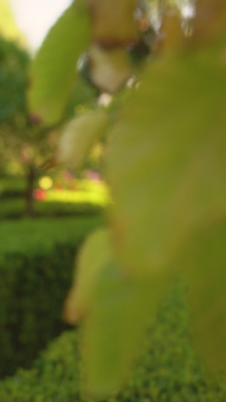 LAYERED TULLE STRAPLESS BALL GOWN